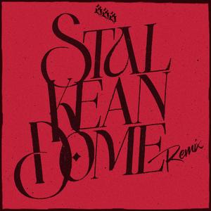 STALKEANDOME REMIX (feat. Kidd Bask)