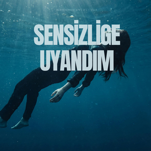 Sensizliğe Uyandım