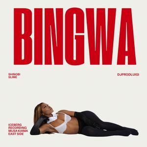 Bingwa (feat. djprodluigi)