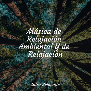 Un Humor De Ambiente