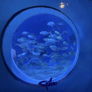 寤（Prod.Furyl&Lil Siren）