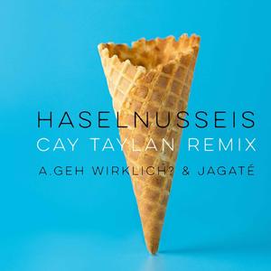Haselnusseis (Instrumental)