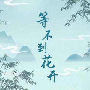 等不到花开 (伴奏)