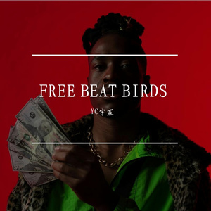 FREE BEAT BIRDS