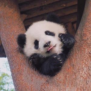 爱有双重魔力（翻自 By2）