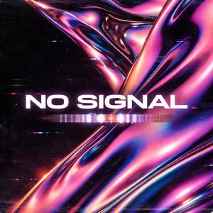 No Signal