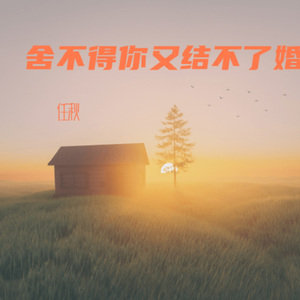 舍不得你又结不了婚