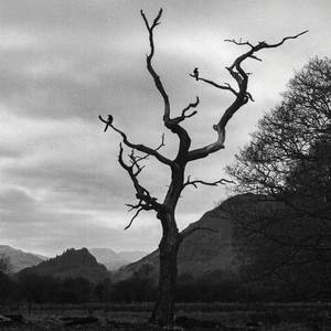 One For Sorrow (Two For Joy)