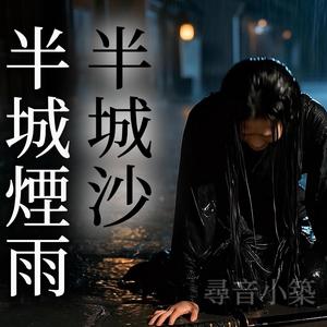 半城煙雨半城沙