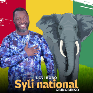 Syli National Gbingbinso