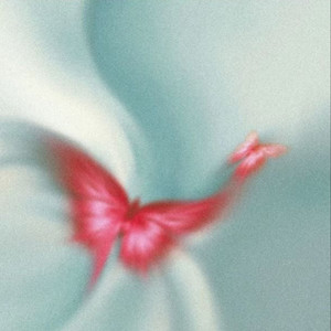 可以不打扰可以不联系 艺凌