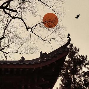 若梦（DJ德朋版）降调版）