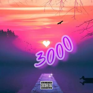 3000