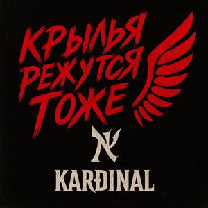 Крылья Режутся ТОЖЕ