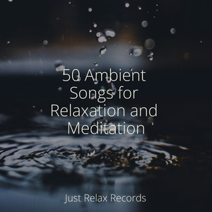 Enveloped in Shadowed Silence