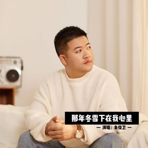 那年冬雪下在我心里