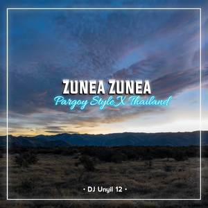 DJ Zunea Pargoy
