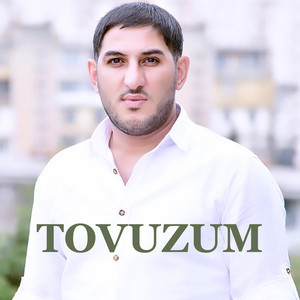 Tovuzum