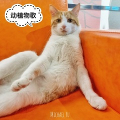 动植物歌 (Demo)