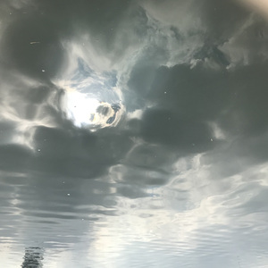 秋の訪れを告げるエレクトロニカ