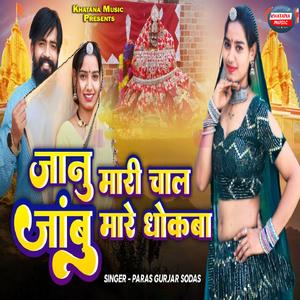 Janu Mari Chal Janbu Mhare Dhokba