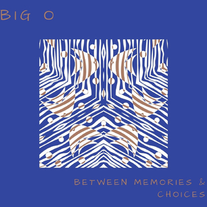 Beautifully Distorted