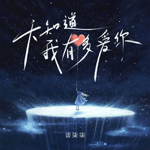 天知道我有多么爱你 (DJ九零版)