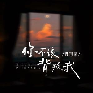 你不该背叛我