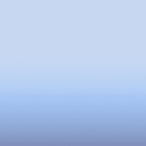 おとなの掟（翻自 V.A.）