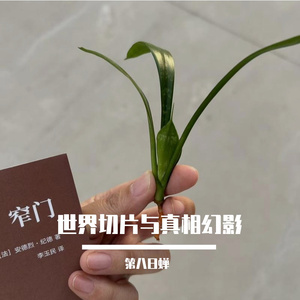 世界切片与真相幻影