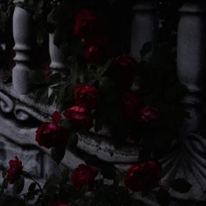 roses4U (feat. CryLucky)