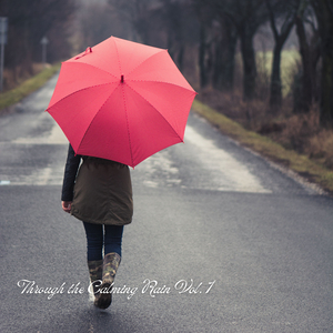 Sunshine After The Rain