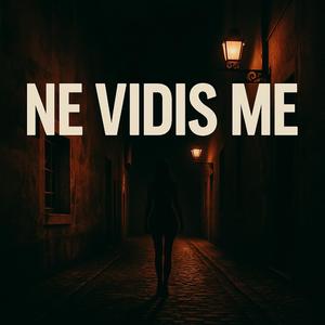 Ne vidiš me
