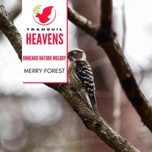 Scarlet Northen Flicker