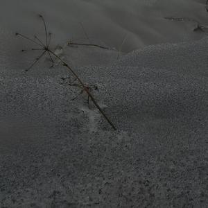 Чорний сніг