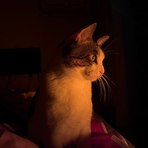 她也曾在雾中站了许久