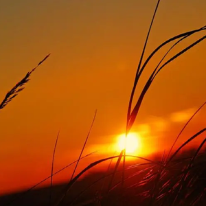 那个温柔的开始