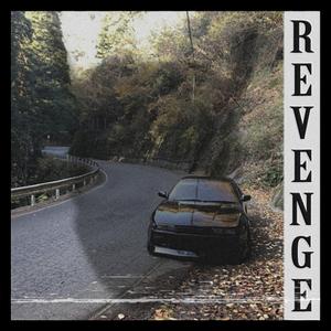 REVENGE