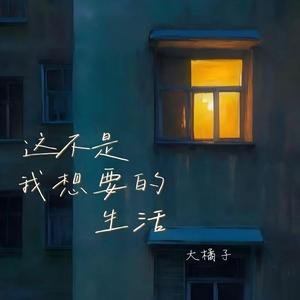 这不是我想要的生活 (伴奏)