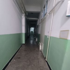 如影随形
