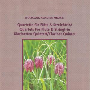 Flute Quartet in D Major, K. 285: III. Rondo