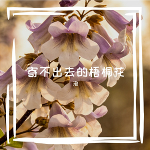 寄不出的梧桐花