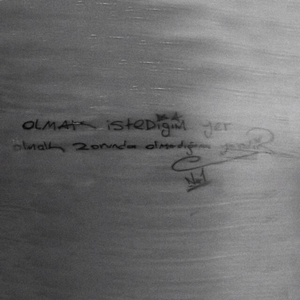 Çiçeklerde Bir Telaş Var