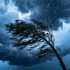 为什么风雨不肯低头DJ版