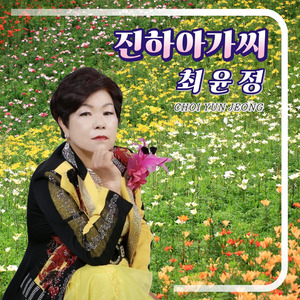 불국사의 밤