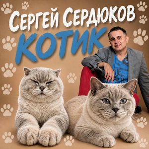 КОТИК