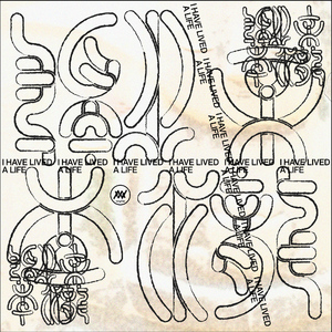 나는 삶을 살았습니다