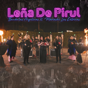 Leña De Pirul