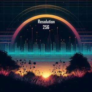 Resolution 256