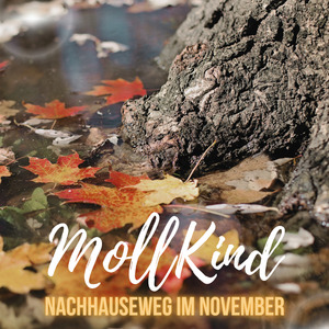 Nachhauseweg im November